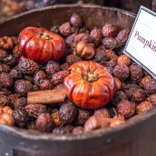 pumpkin-spice-2022-11-07-03-32-14-utc pumpkin-spice-2022-11-07-03-32-14-utc